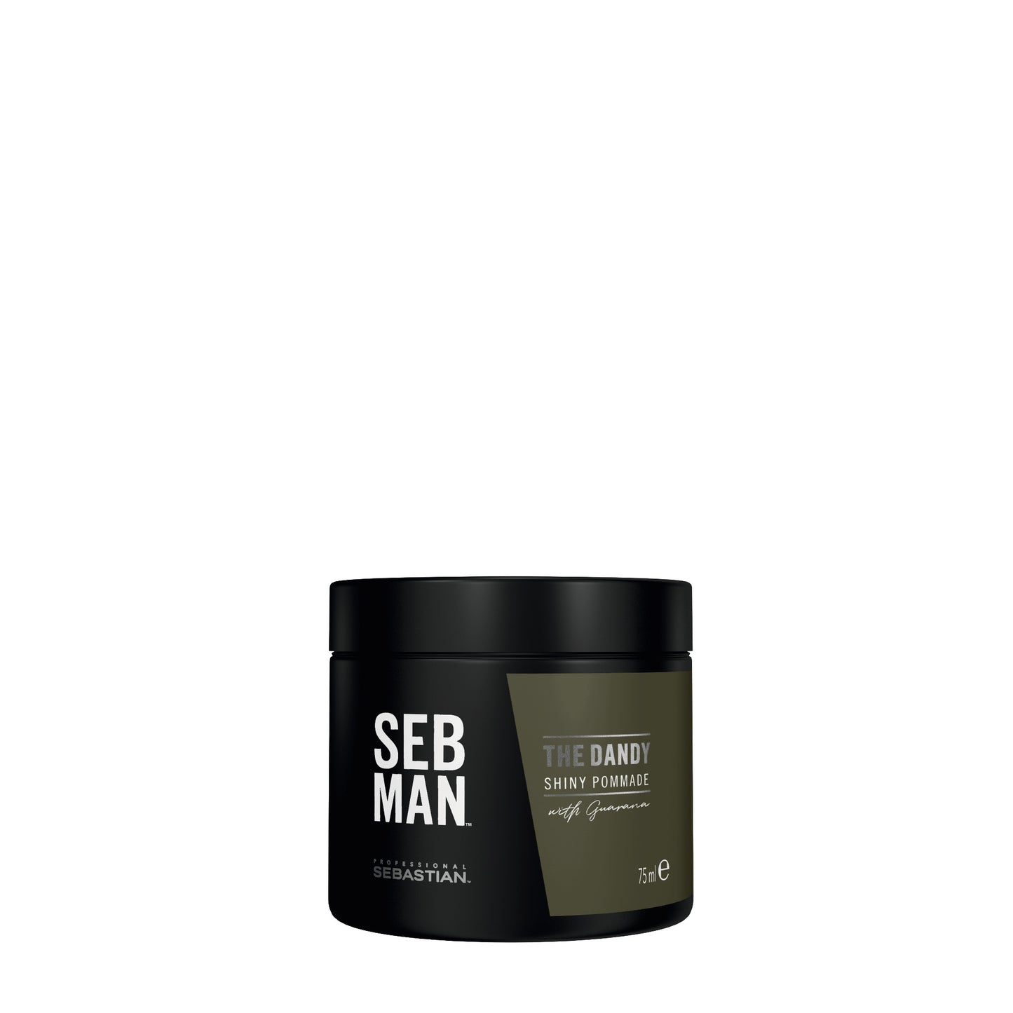 SEB MAN THE DANDY lengvos fiksacijos pomada, 75 ml - Odiste