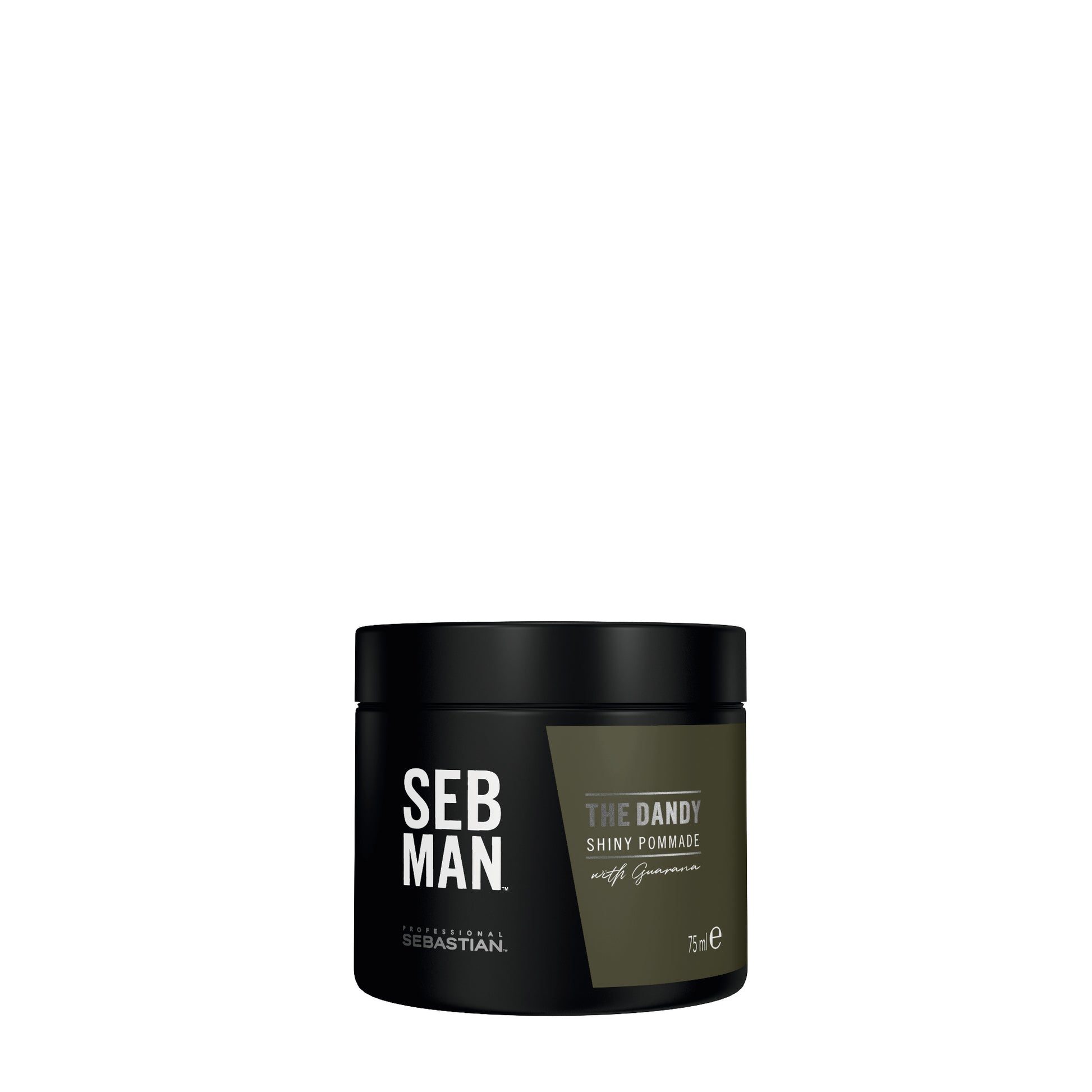 SEB MAN THE DANDY lengvos fiksacijos pomada, 75 ml - Odiste